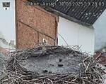Capi_Dubne_20250830_192003.jpg