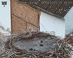 Capi_Dubne_20250830_193003.jpg