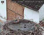 Capi_Dubne_20250830_194002.jpg