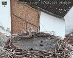 Capi_Dubne_20250830_194504.jpg