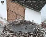 Capi_Dubne_20250830_195503.jpg