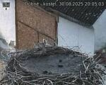 Capi_Dubne_20250830_200503.jpg