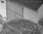 Capi_Dubne_20250830_201503.jpg