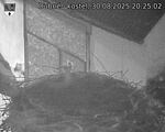 Capi_Dubne_20250830_202502.jpg