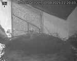 Capi_Dubne_20250830_222003.jpg