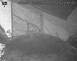 Capi_Dubne_20250830_234502.jpg