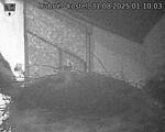 Capi_Dubne_20250831_011003.jpg