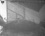 Capi_Dubne_20250831_030003.jpg