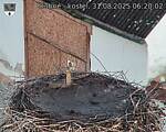 Capi_Dubne_20250831_062002.jpg