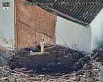 Capi_Dubne_20250831_071504.jpg