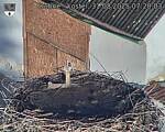 Capi_Dubne_20250831_072003.jpg