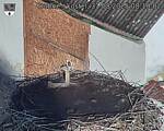 Capi_Dubne_20250831_081002.jpg
