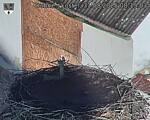 Capi_Dubne_20250831_081503.jpg