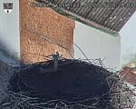 Capi_Dubne_20250831_082003.jpg