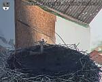 Capi_Dubne_20250831_083004.jpg