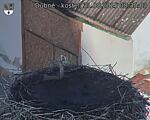 Capi_Dubne_20250831_083503.jpg