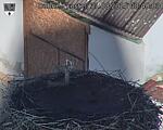 Capi_Dubne_20250831_084003.jpg