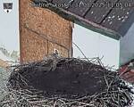 Capi_Dubne_20250831_110504.jpg
