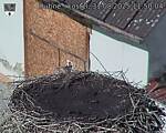 Capi_Dubne_20250831_115004.jpg