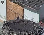 Capi_Dubne_20250831_130504.jpg