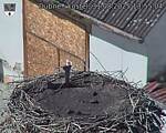 Capi_Dubne_20250831_135504.jpg