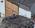 Capi_Dubne_20250831_140003.jpg