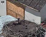 Capi_Dubne_20250831_144004.jpg