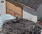 Capi_Dubne_20250831_145003.jpg