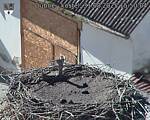Capi_Dubne_20250831_155004.jpg