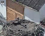 Capi_Dubne_20250831_155502.jpg