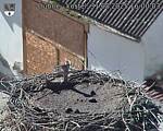 Capi_Dubne_20250831_160003.jpg