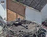 Capi_Dubne_20250831_160502.jpg