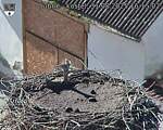 Capi_Dubne_20250831_161502.jpg