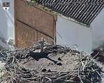 Capi_Dubne_20250831_163002.jpg