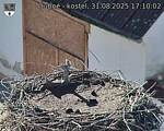 Capi_Dubne_20250831_171002.jpg