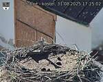 Capi_Dubne_20250831_172503.jpg