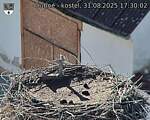 Capi_Dubne_20250831_173002.jpg