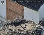 Capi_Dubne_20250831_173503.jpg