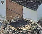 Capi_Dubne_20250831_183504.jpg