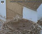 Capi_Dubne_20250831_192502.jpg