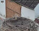 Capi_Dubne_20250831_193502.jpg