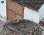 Capi_Dubne_20250831_194003.jpg