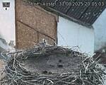 Capi_Dubne_20250831_200503.jpg
