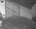 Capi_Dubne_20250831_202503.jpg