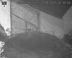 Capi_Dubne_20250831_203002.jpg