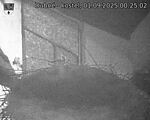 Capi_Dubne_20250901_002502.jpg