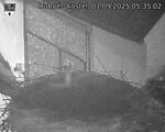 Capi_Dubne_20250901_053502.jpg