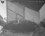 Capi_Dubne_20250901_054003.jpg