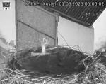 Capi_Dubne_20250901_060002.jpg