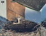 Capi_Dubne_20250901_071003.jpg